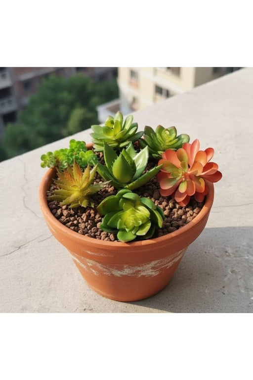 Artificial Succulent Heads Small Mini Plants,Plant Add Charm to Your Home Decor