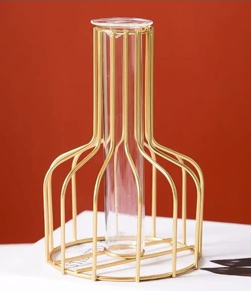 1 Pcs Propagation Station with Metal Frame, Test Tube Glass Items Vase for Flower Pot,Gift, Home Decor, Bedroom, Office Corner, Living Room, Decoration (Pack of 1) (Gold)