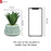 Mini Agave Artificial Green Indoor Succulent Plant with Aesthetic Ceramic Pot to Add Charm to Your Homedecor