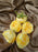Artificial Flower Persian Buttercup Rose Flowers Head for Gifting, Home, Mandir Pooja Table, Cake Decor, Bouquet Making, Backdrop, DIY Art Craft (Pack of 12)