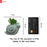 Mini Aesthetic Succulent Plant with Ceramic Cement Snail Pot for Indoor,to Add Charm to Your Homedecor
