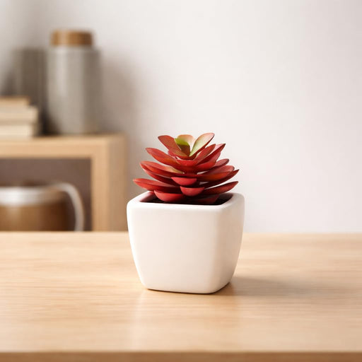 Succulent Small Mini indoor Plants with aesthetic cement pot, Artificial Plant, indoor flower Plant with Pot