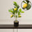 Artificial Lemon Plant with Pot succulent, Artificial Flower Decoration Plant for Home Decor Item, Office, Bedroom, Living Room, Shop Decoration Items ( Green)