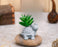 Mini Aesthetic Succulent Plant with Ceramic Cement Tortoise Pot for Indoor,