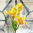 Head Lily Artificial Flowers Sticks for for Gifting, Home Decor  Petals Lily
