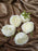 Artificial Flower Persian Buttercup Rose Flowers Head for Gifting, Home, Mandir Pooja Table, Cake Decor, Bouquet Making, Backdrop, DIY Art Craft (Pack of 12)