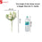 Artificial Peony Rose Flower Bunch for - Home, Office, Bedroom, Balcony,Table Display, Living Room Decoration and Craft Corner- (Without Vase)