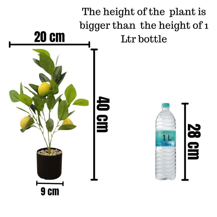Artificial Lemon Plant with Pot succulent, Artificial Flower Decoration Plant for Home Decor Item, Office, Bedroom, Living Room, Shop Decoration Items ( Green)