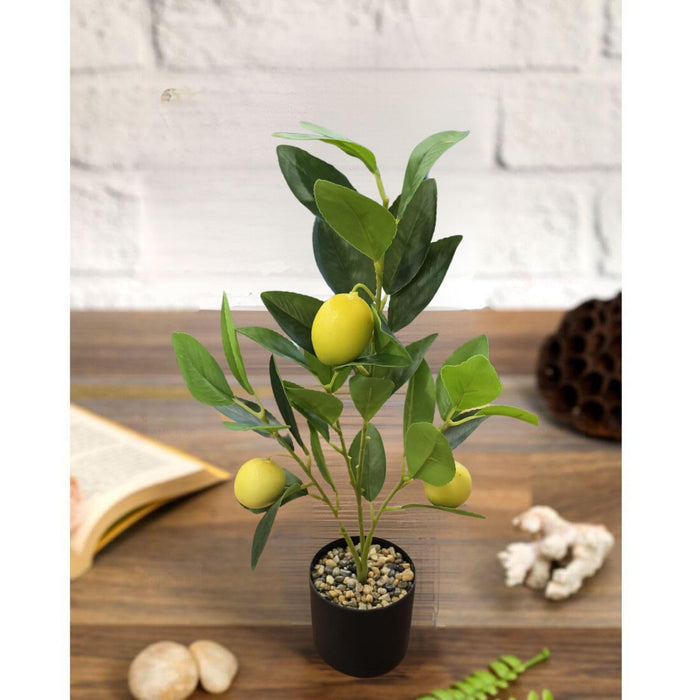 Artificial Lemon Plant with Pot succulent, Artificial Flower Decoration Plant for Home Decor Item, Office, Bedroom, Living Room, Shop Decoration Items ( Green)