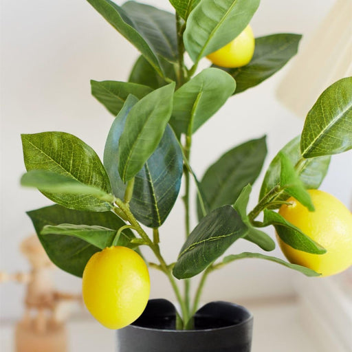 Artificial Lemon Plant with Pot succulent, Artificial Flower Decoration Plant for Home Decor Item, Office, Bedroom, Living Room, Shop Decoration Items ( Green)
