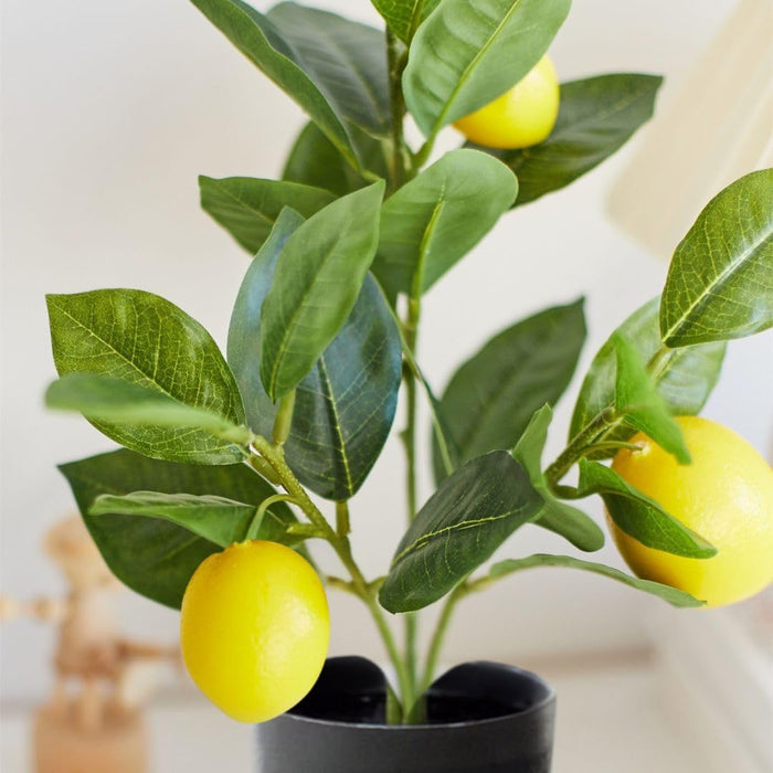 Artificial Lemon Plant with Pot succulent, Artificial Flower Decoration Plant for Home Decor Item, Office, Bedroom, Living Room, Shop Decoration Items ( Green)