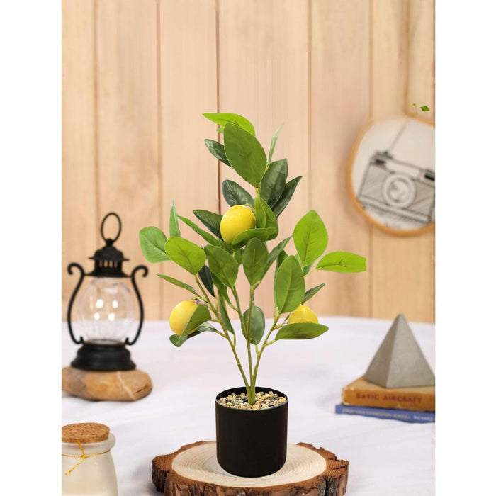 Artificial Lemon Plant with Pot succulent, Artificial Flower Decoration Plant for Home Decor Item, Office, Bedroom, Living Room, Shop Decoration Items ( Green)