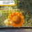 2 Pcs Artificial Sunflower Crochet Hanging Ornament for Home Decor | Handmade Sunflower Car Mirror Hanging Accessory | Crochet Flower Car Dashboard Decoration | Home, Window, Door