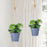 Artificial Hanging Succulent Plant with Aesthetic Ceramic Cement Pot,Indoor,Office,and Kitchen-Wall Hanging and Tabletop Decoration Items