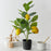 Artificial Lemon Plant with Pot succulent, Artificial Flower Decoration Plant for Home Decor Item, Office, Bedroom, Living Room, Shop Decoration Items ( Green)