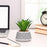 Mini Agave Artificial Green Indoor Succulent Plant with Aesthetic Ceramic Pot to Add Charm to Your Homedecor
