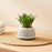 Mini Agave Artificial Green Indoor Succulent Plant with Aesthetic Ceramic Pot to Add Charm to Your Homedecor