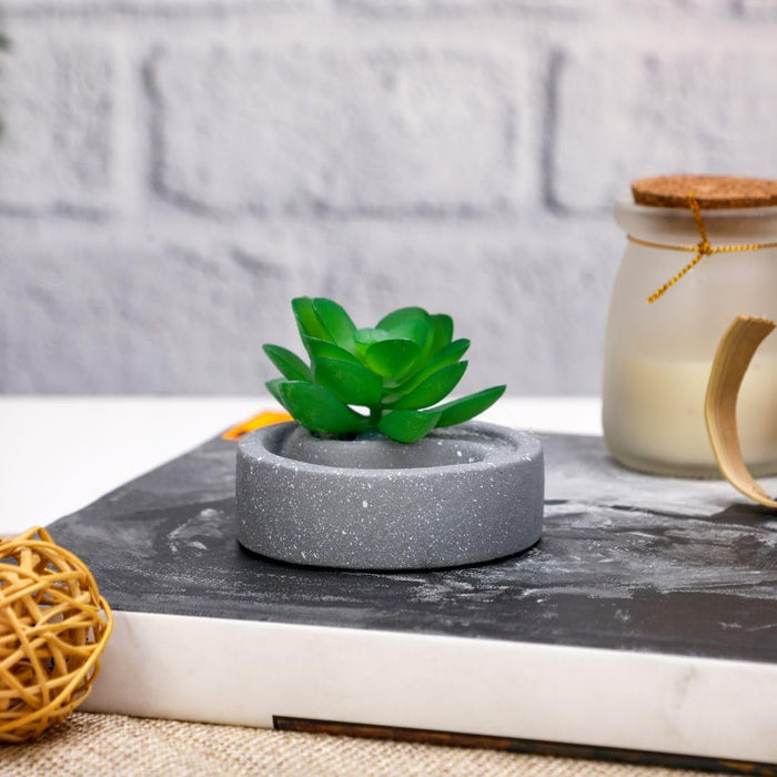 aesthetic Mini Succulent plant with Ceramic cement Pot for indoor,flower succulent pot,Home Corner Decor
