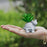 Mini Aesthetic Succulent Plant with Ceramic Cement Tortoise Pot for Indoor,