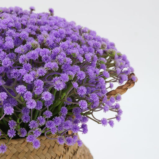 Artificial Baby’s Breath Gypsy Flowers | Gypsophila Bouquet for Home Decor, Bedroom, Balcony, Garden, Birthday Surprise & Wedding Décoration (28.5 cm)