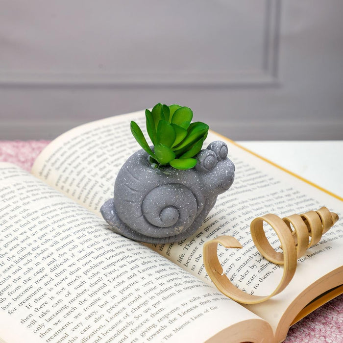 Mini Aesthetic Succulent Plant with Ceramic Cement Snail Pot for Indoor,to Add Charm to Your Homedecor