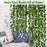 Artificial Flowers Wall Hanging Leaf Flower Money Plant Light Weight Vine String Lines for Garden, Home, Room, Balcony, Living Room, Restaurant, Festival, Events Decoration (Green, 7 Feet)
