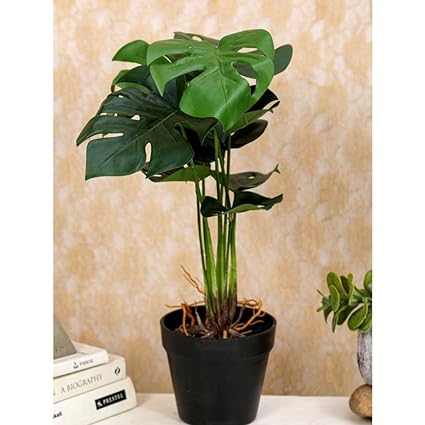 Plant with Aesthetic Plastic Pot - Monstera Plant - Artificial Flower Indoor Decoration Plant for Home Decor (9 Leaves)