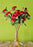 Carnation flower Sticks Artificial Flowers Bouquet Sticks for Gifting, Home Decor, Room,Bedroom, Living Room, Anniversary Decoration,Diwali Decor (Material: Fabric) (Without Vase Pot)