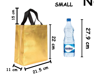 Small Size Non Woven Fabric Bag With Handle 29*22 cm Gift Paper bag, Carry Bags, gift bag, gift for Birthday, gift for Festivals, Season's Greetings and other Events(Gold)