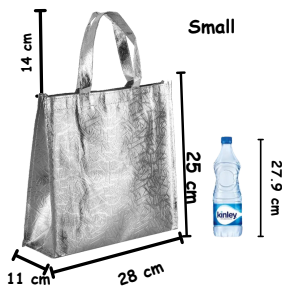 Small Size Non Woven Fabric Bag With Handle 28 x 25 cm Gift Paper bag, Carry Bags, gift bag, gift for Birthday, gift for Festivals, Season's Greetings and other Events(Silver)(Pack of 12)