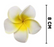 Artificial Big Fake Foam Hawaii Beach Water Floating Flowers for Decoration, Pooja Thali. Festival & Events, Home, Table, Bedroom, Pooja Room, DIY Craft (White)