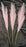 small Faux Pampas Grass Artificial Flowers Fake Flower for Home, Office, Bedroom, Balcony, Living Room, Table Decoration, Plants and Craft Items Corner
