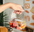 Transparent Packaging Box | Portable Disposable  Box for Picnic, Dryfruit Packing ,Camping, Gift Packing (3 Sizes Available)