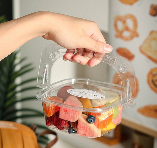 Transparent Packaging Box | Portable Disposable  Box for Picnic, Dryfruit Packing ,Camping, Gift Packing (3 Sizes Available)