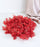 Artificial Ixora Flower Garlands, Wall Hanging decorative String Lines items for Anniversary Decoration, Home Decor, Pooja, Functions Decor (Small petals)