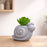 Mini Aesthetic Succulent Plant with Ceramic Cement Snail Pot for Indoor,to Add Charm to Your Homedecor