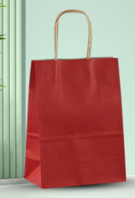 Premium Paper Gift Bag with Handle | Return Gift, Shopping & Packaging Bag | Available in Red, White, Black, Green & Brown
