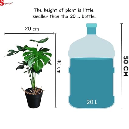Plant with Aesthetic Plastic Pot - Monstera Plant - Artificial Flower Indoor Decoration Plant for Home Decor (9 Leaves)