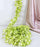 Artificial Ixora Flower Garlands, Wall Hanging decorative String Lines items for Anniversary Decoration, Home Decor, Pooja, Functions Decor (Small petals)