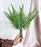 Artificial Flower Fren Bunch Leaves for Gifting, Home Decor, Balcony, Office, Bedroom, Living Room Decor, Raksha Bandhan (1 Bunch,Green,PVC) (36 cm) (without Vase)