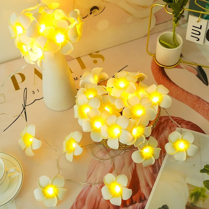 Plumeria Hawaii Flower LED String Light | Artificial Foam Hawaii Flower Garland | Rice Fairy Lights for Mandir, Pooja Room, Wedding, Birthday, Aesthetic Decor (Acrylic, 1.5 Meter)