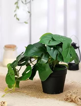 Artificial  Plants - Exquisite Faux Pot Artificial Plant (17 cm, Green)