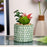 Mini Artificial Green succulent plant With aesthetic Ceramic pot Faux flower Plant to Add Charm to Your Home decor (Green)