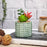 Mini Artificial Green succulent plant With aesthetic Ceramic pot Faux flower Plant to Add Charm to Your Home decor (Green)