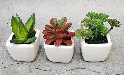 Succulent Small Mini indoor Plants with aesthetic cement pot, Artificial Plant, indoor flower Plant with Pot