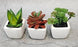 Succulent Small Mini indoor Plants with aesthetic cement pot, Artificial Plant, indoor flower Plant with Pot