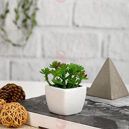 Succulent Small Mini Plants with aesthetic ceramic cement pot, Faux flower indoor Plant with Pot Add Charm to Your Home decor
