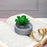 aesthetic Mini Succulent plant with Ceramic cement Pot for indoor,flower succulent pot,Home Corner Decor