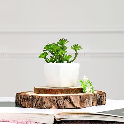 Succulent Small Mini Plants with aesthetic ceramic cement pot, Faux flower indoor Plant with Pot Add Charm to Your Home decor