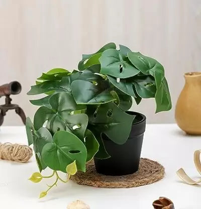 Artificial  Plants - Exquisite Faux Pot Artificial Plant (17 cm, Green)
